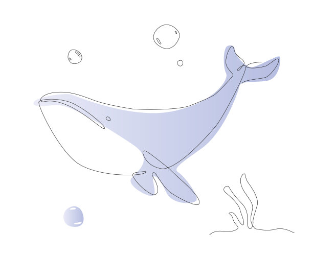 一条线鲸鱼插图。海洋生物哺乳动物线艺术向量。可爱的鱼的轮廓图片下载