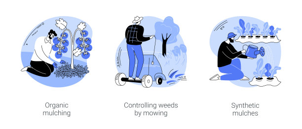 杂草管理孤立卡通矢量插图se图片下载