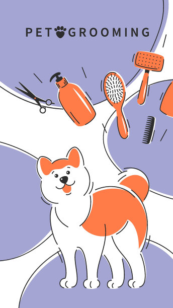 梳理31图片下载