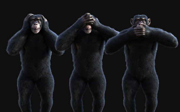 三只黑猩猩猴子，站着闭上眼睛、嘴巴和耳朵，用修剪的方式图片下载