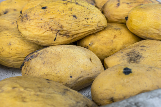 老库存的过熟的本土卡拉宝芒果，也被称为菲律宾芒果，在当地市场以折扣价出售。图片下载