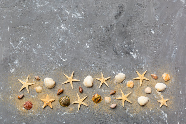 夏天的时间概念平面布局组成与美丽的海星和海贝在彩色的桌子，顶部视图与复制空间的文本图片下载