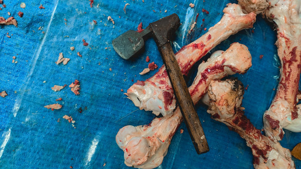 腿的牛肉图片下载