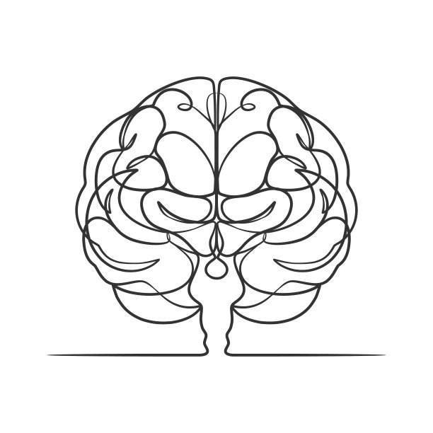 人类大脑的连续线条画图片下载