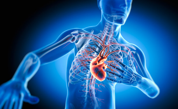 人类心脏病发作- 3d插图图片下载