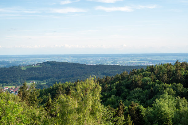 德国巴伐利亚州的森林图片下载