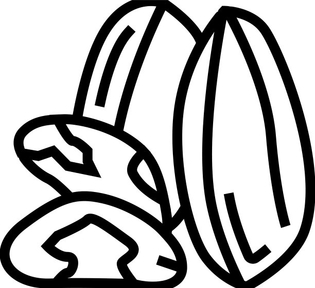 巴西坚果线图标图片下载