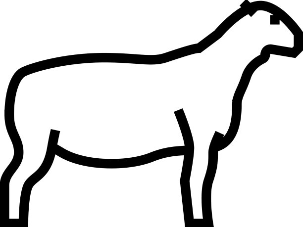 杜泊羊线图标图片下载