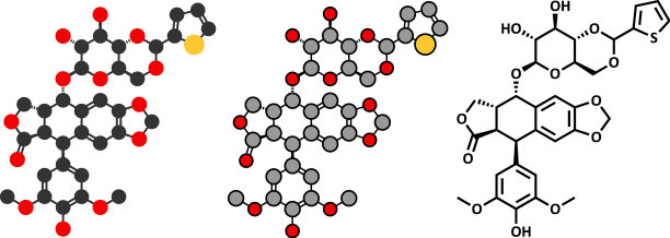 替尼泊苷抗癌药物分子拓扑异构酶ii图片下载