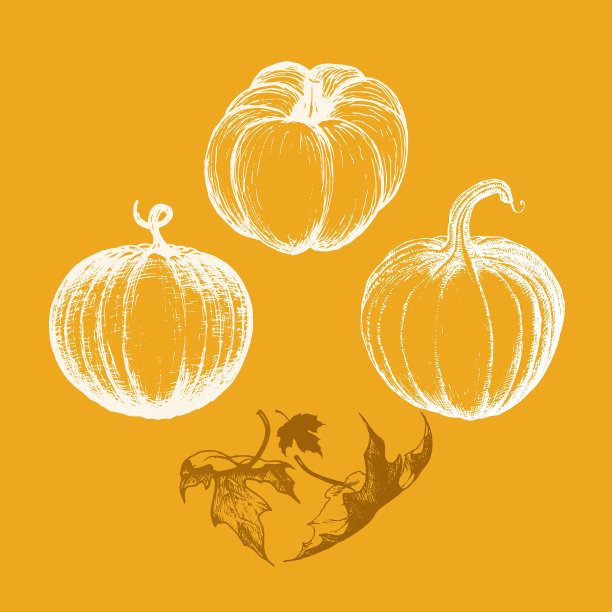 南瓜手绘南瓜草图图片下载