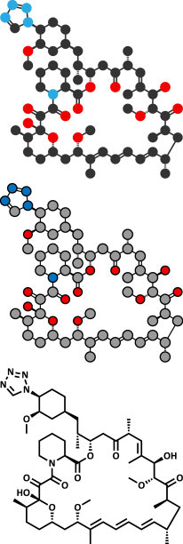佐他莫司免疫抑制分子用于图片下载