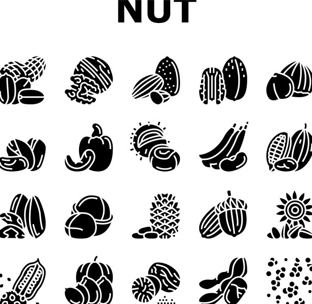 坚果美味天然营养图标集图片下载