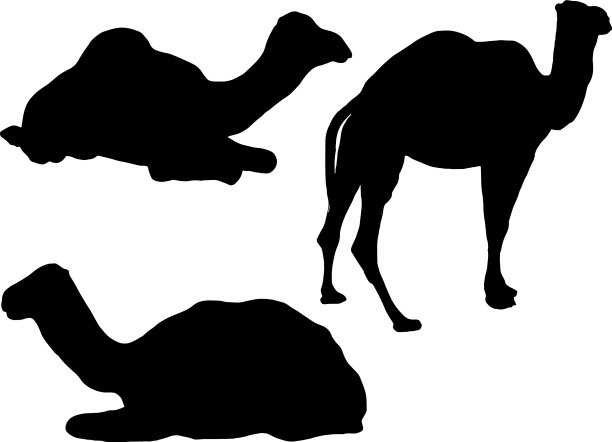 骆驼轮廓图片下载