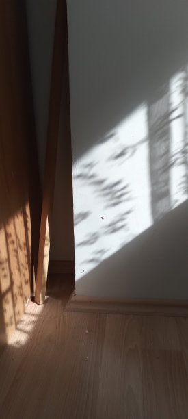 阳光照在墙上，木器站在一旁，木地板图片下载