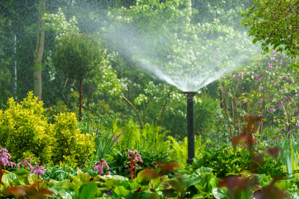 春天花园浇水，大自然美丽，乔木、花卉和装饰灌木图片下载