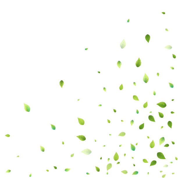 叶绿叶落飞叶茶薄荷图片下载