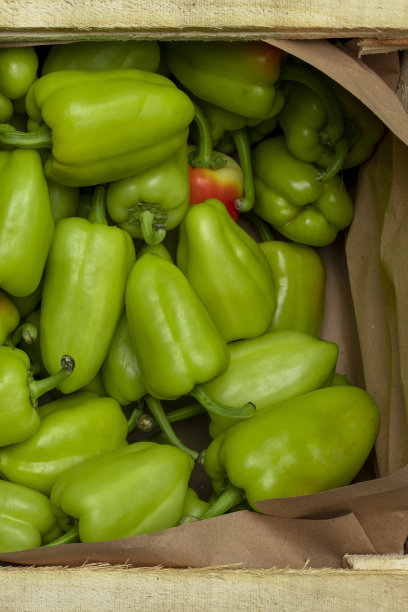 辣椒在盒子里图片下载