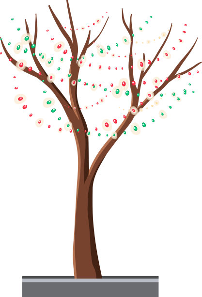 一棵没有树叶装饰的圣诞树图片下载