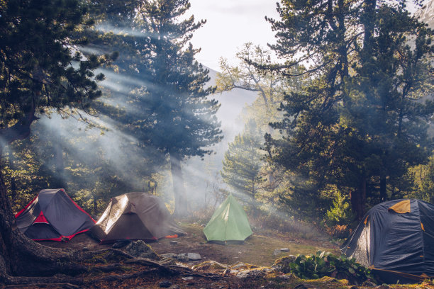 在森林里搭帐篷。旅游理念，户外休闲。帐篷生活。松树林露营地库存照片图片下载