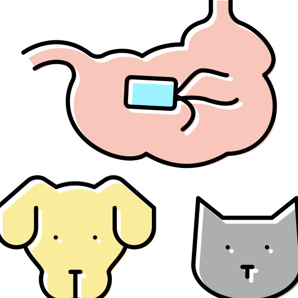 犬猫沙门氏菌病彩色图标图片下载