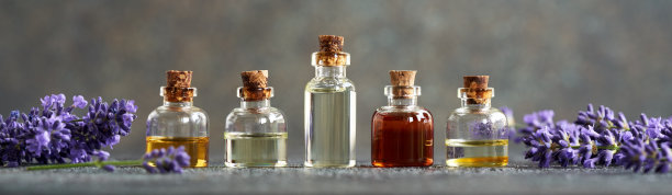 全景标题与精油瓶和新鲜的薰衣草花图片下载