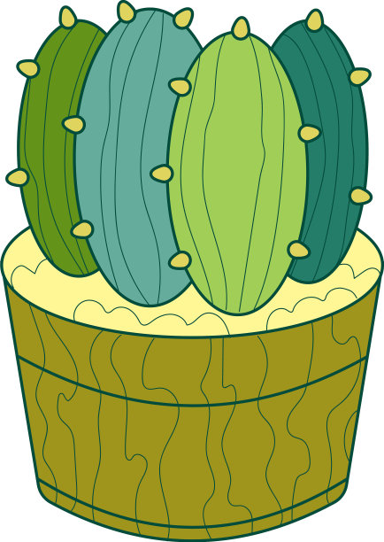 装饰色彩丰富的仙人掌与纹理图片下载