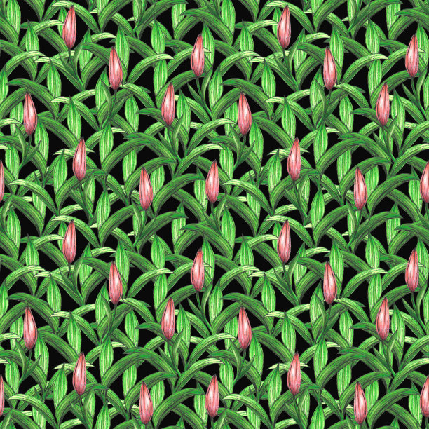 百合花无缝图案图片下载