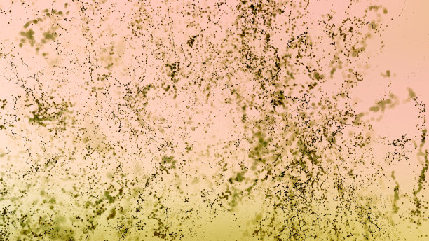 白色米色抽象概念分子链粒子旗帜背景图片下载