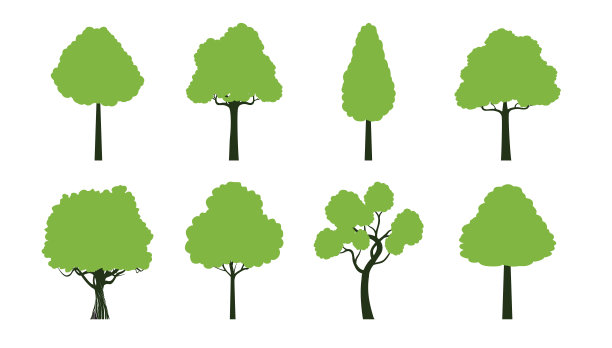 春天颜色的树木。轮廓矢量插图。图片下载