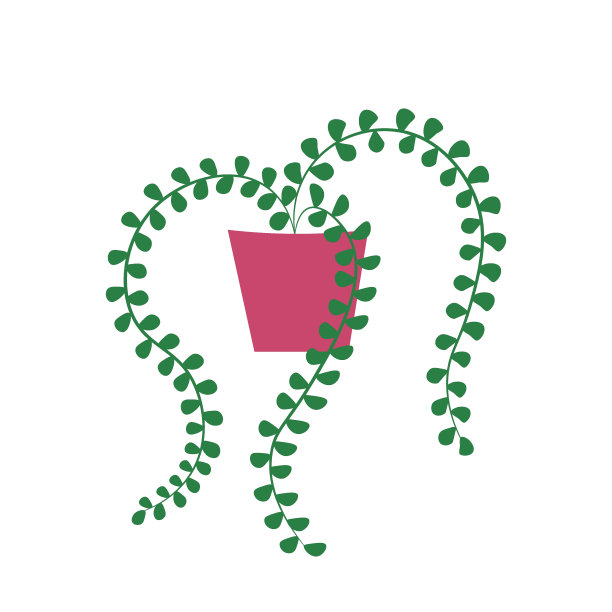 花盆中悬挂的盆栽图片下载