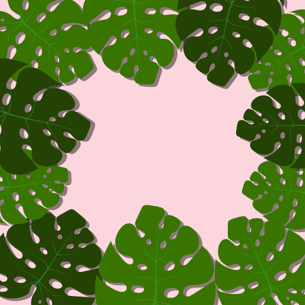 创造性的花组成的monstera叶子在粉彩粉红色的背景与复制空间图片下载