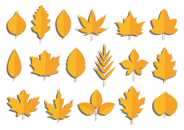 一套剪纸风格的树叶图片下载
