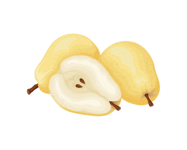 梨。梨的形象是黄色的。成熟的甜梨。新鲜水果花园。维生素素食产品。矢量插图孤立在白色背景上图片下载