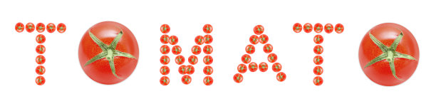 新鲜番茄由成熟的樱桃浆果制成图片下载