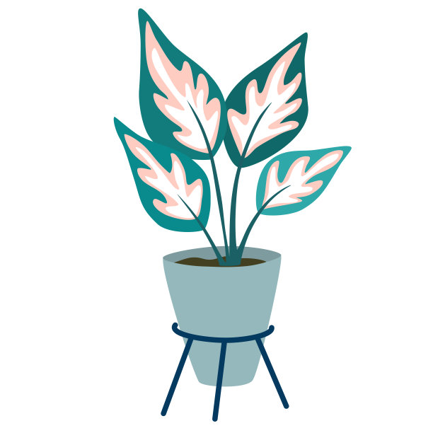 盆栽植物。盆栽带叶室内植物。家居室内绿叶装饰。自然的室内装饰。手绘矢量插图孤立在白色背景上图片下载