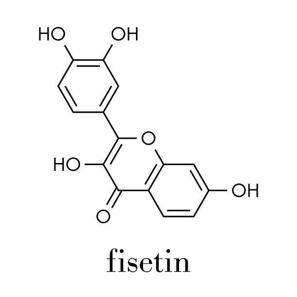 非瑟汀植物多酚分子骨架配方图片下载