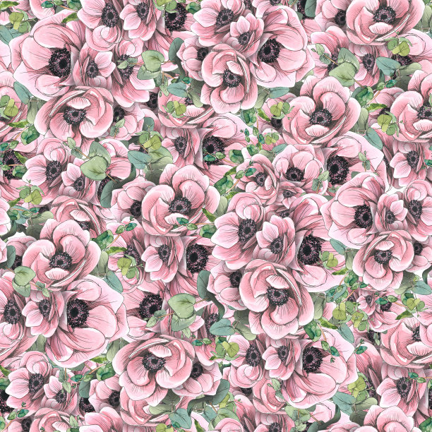 带桉树树枝的粉色海葵。水彩插图在素描风格与图形元素。无缝图案来自巴黎的一大套。适用于织物、纺织品、墙纸、包装纸印刷品图片下载