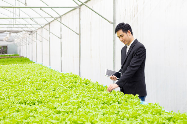 有机菜场质量检验员。图片下载