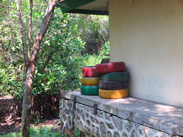 彩色轮胎图片下载