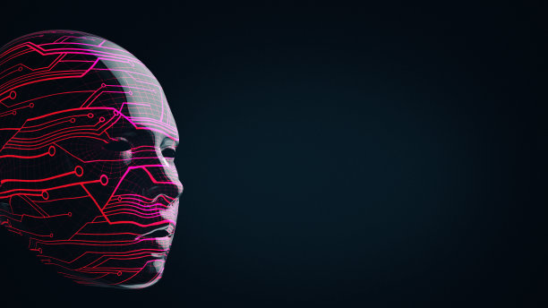 黑色背景上人脸的电路图案。图片下载