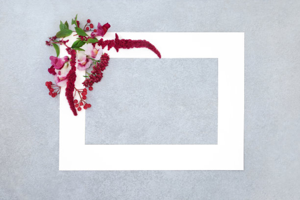 秋天和感恩节花卉背景框架图片下载