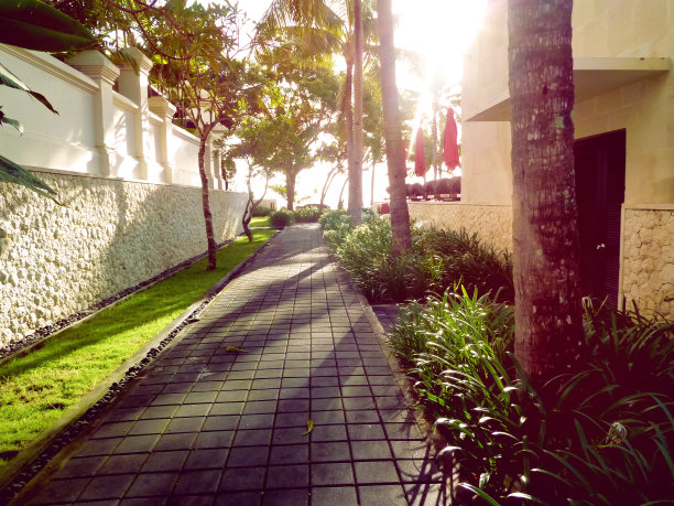 石径前前门私人郊区房子。柔和的晨光和模糊图片下载