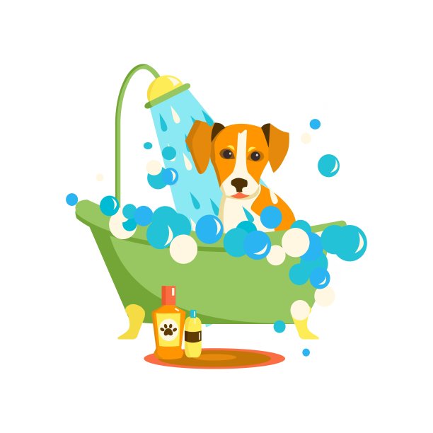 杰克罗素梗在泡泡浴。家畜的浴室清洗。美容服务。卡通矢量插图在白色背景图片下载
