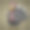 快乐的火鸡与白色和黑色的羽毛卡通插图图片下载