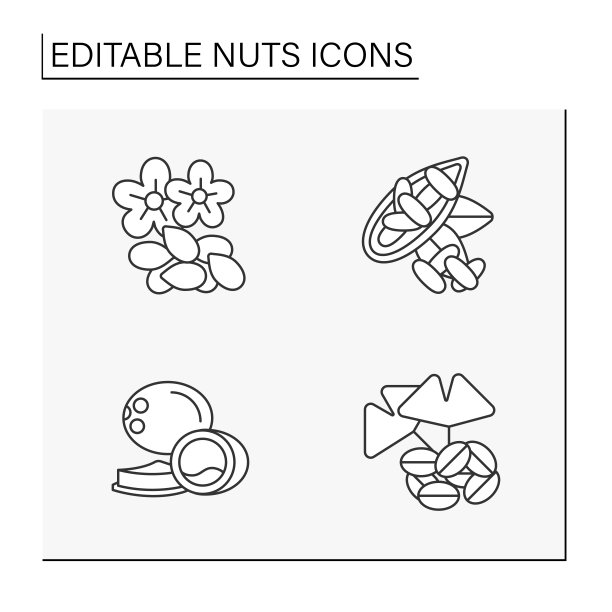 坚果线图标设置图片下载
