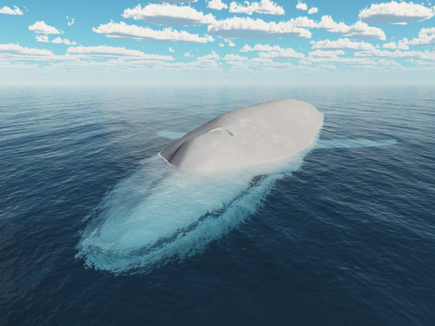 蓝鲸在公海图片下载