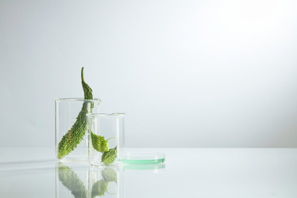 以白底实验室设备装饰的苦瓜正面视图图片下载