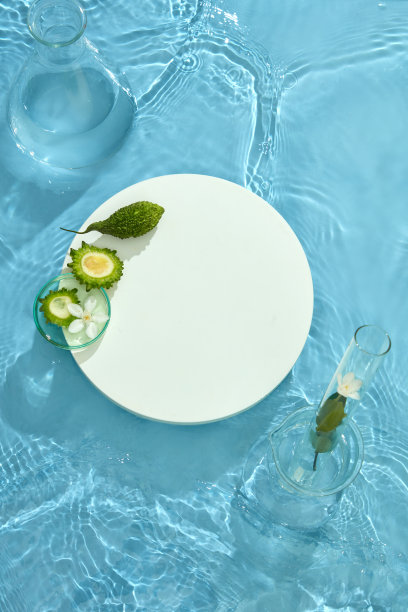 苦瓜在培养皿中的俯视图，绿叶空白蓝色背景图片下载