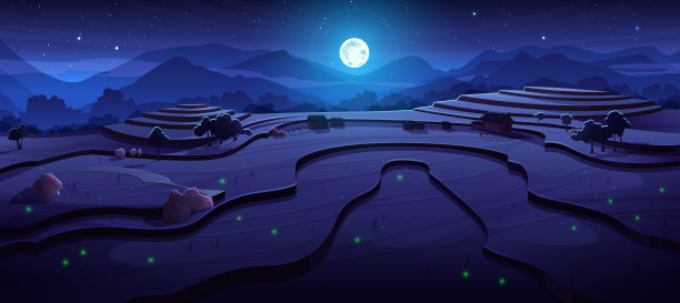 夜间稻田梯田在亚洲景观场景图片下载