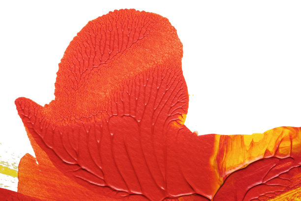 利用罗夏墨迹法在白纸底色上绘制红黄抽象丙烯画的色彩肌理图片下载